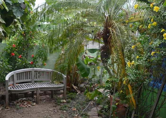 Palmetto Guesthouse