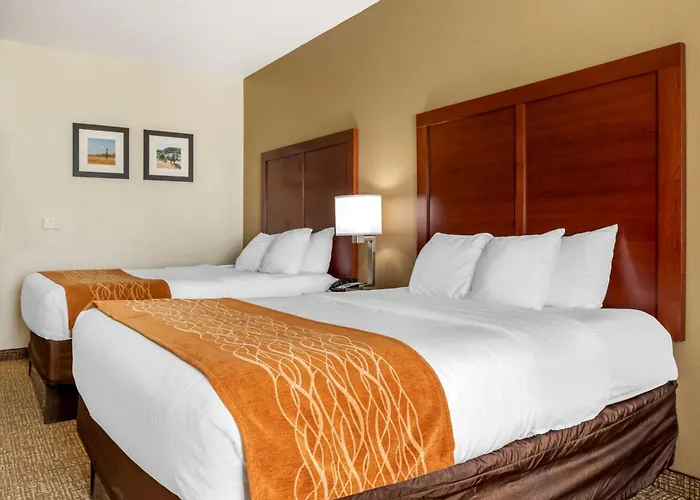 Comfort Inn Near Unt Denton