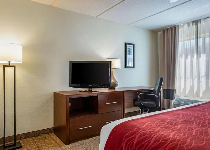 Comfort Inn Kissimmee-Lake Buena Vista South