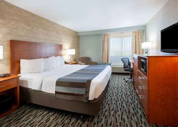 Wingate By Wyndham Detroit Metro Airport Hotel Romulus