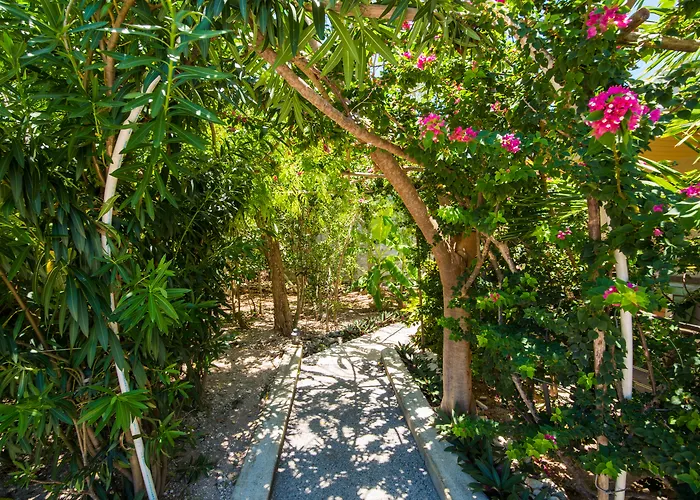 One On Marlin Resort (Adults Only) Turtle Cove