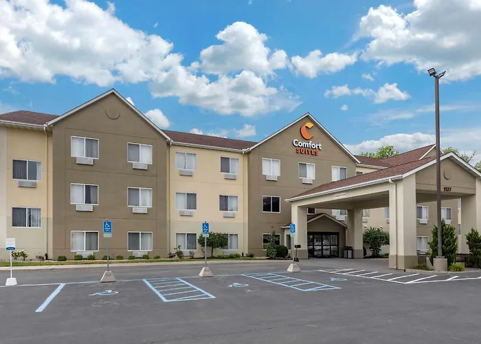 Comfort Suites Auburn Near I-69