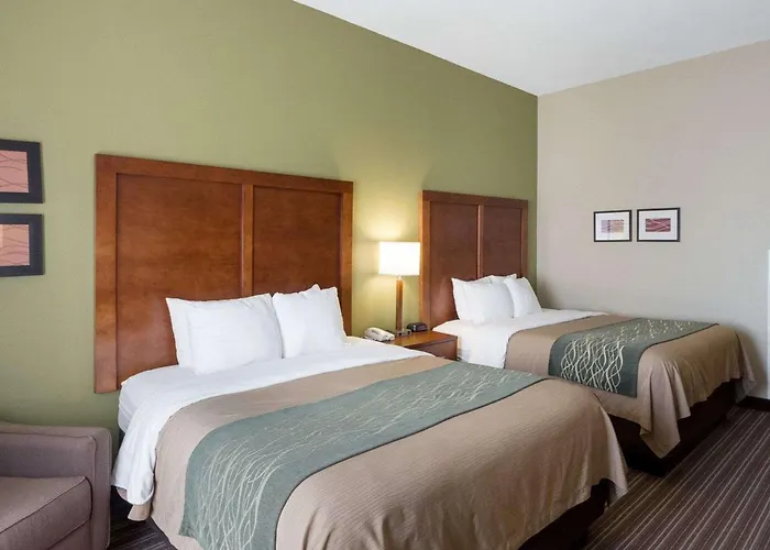 Comfort Inn & Suites Fayetteville-University Area