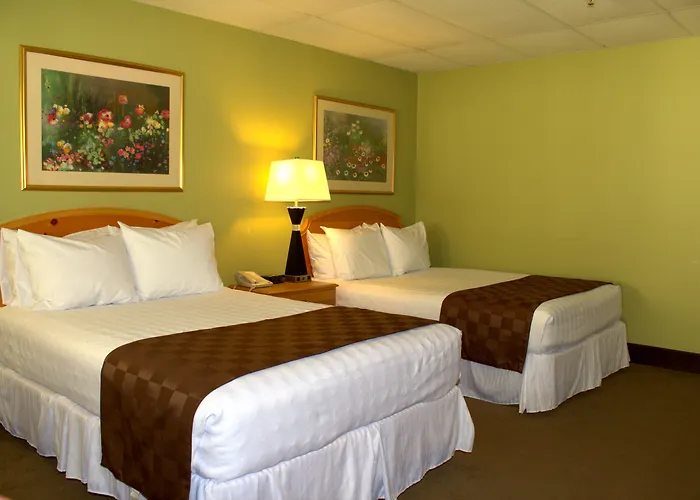 The University Inn At Emory Druid Hills