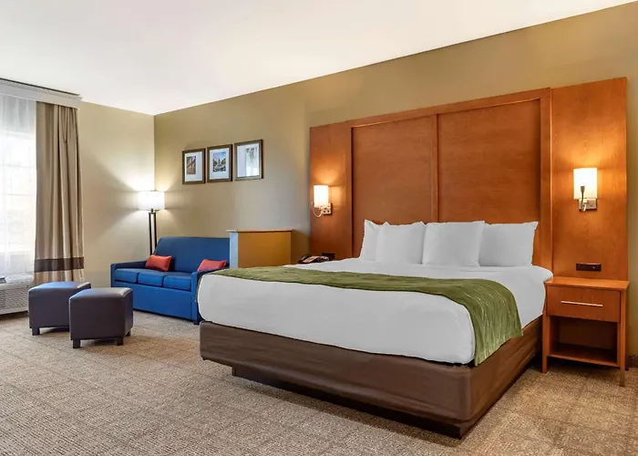 Comfort Inn & Suites Orangeburg