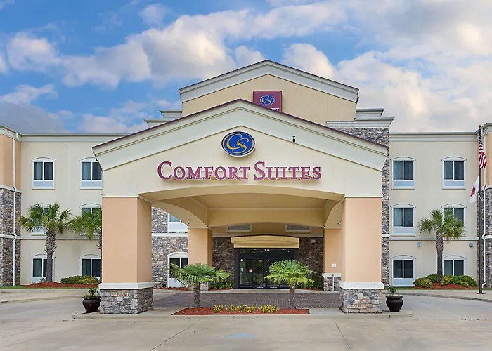Comfort Suites Leesville