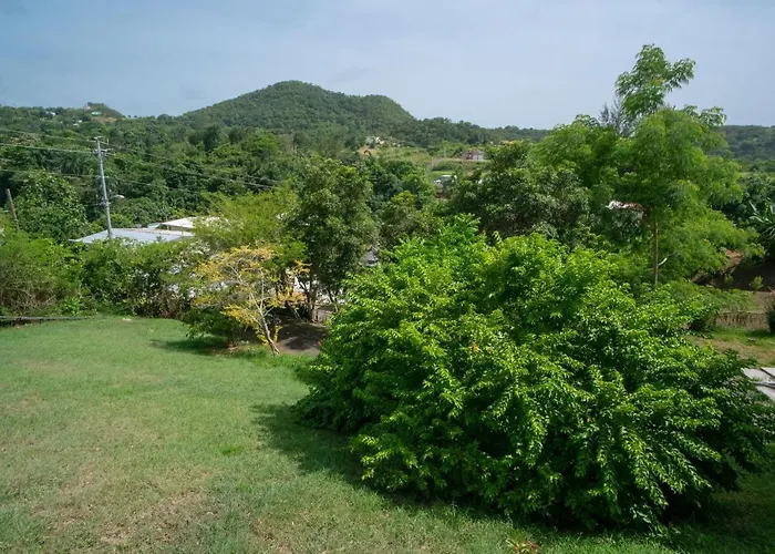 Senderos 4 A Cozy Studio 4 Min From The Beach Rincon