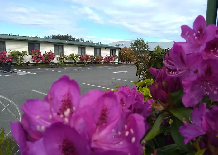 The Orca Inn