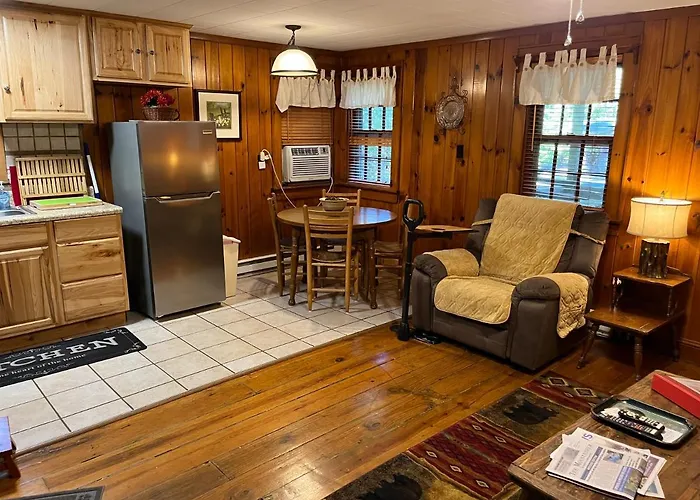 Cozy Cabin Pet Friendly Ada Compatible Maggie Valley