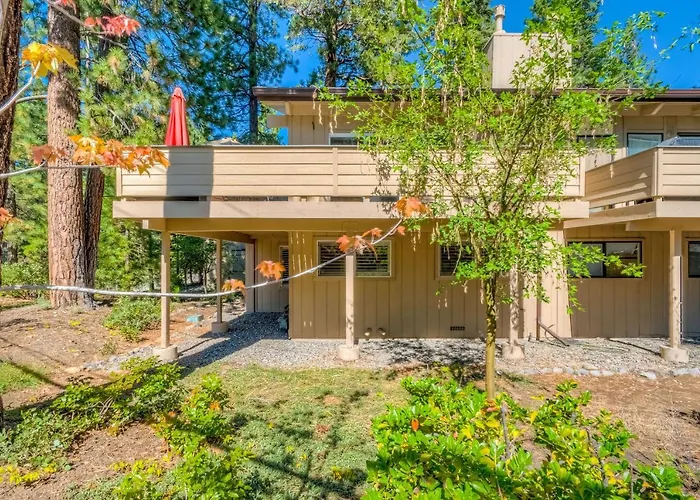 Incline Village Charmer