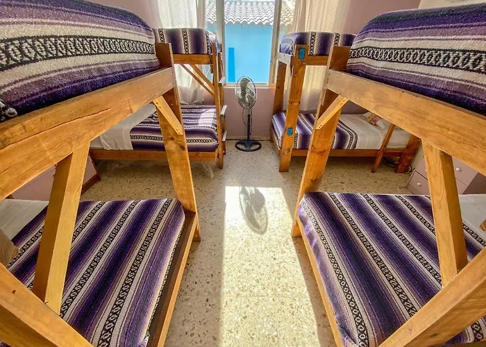 Wandering Monkey Guesthouse Mazatlan
