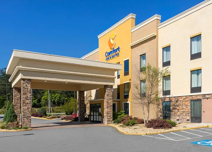 Comfort Inn & Suites Macon West