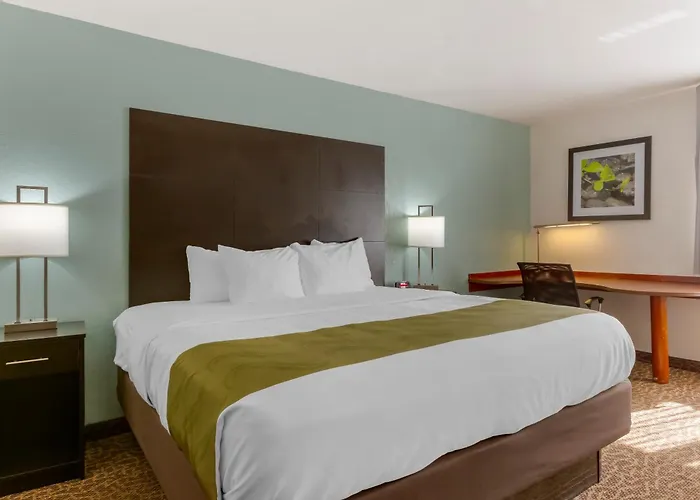 Quality Inn Alexis Rd