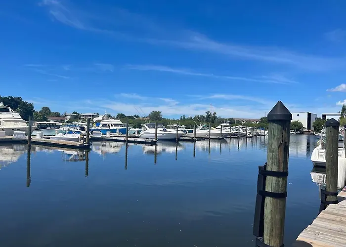 Marina Vibes - Sarasota