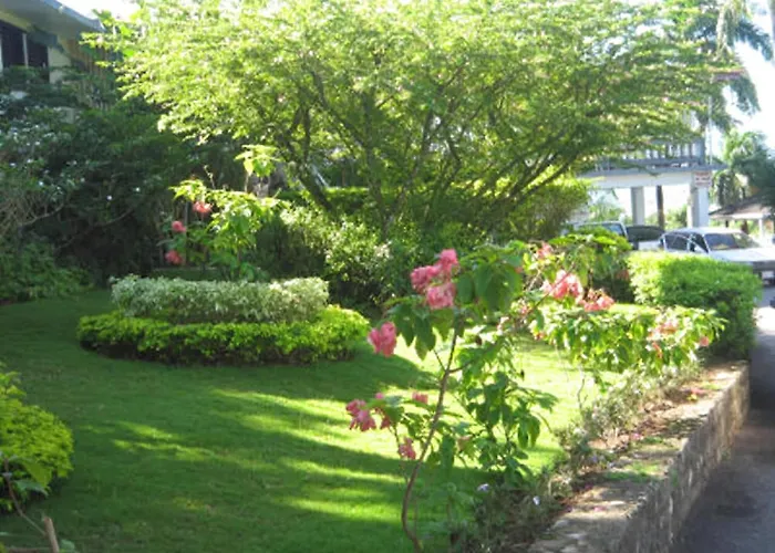 Paradise Brandon Hill Guest House