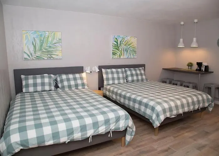 Amazing Studio On Daytona Beach