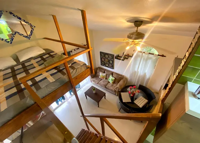 Private Study Punta Cana