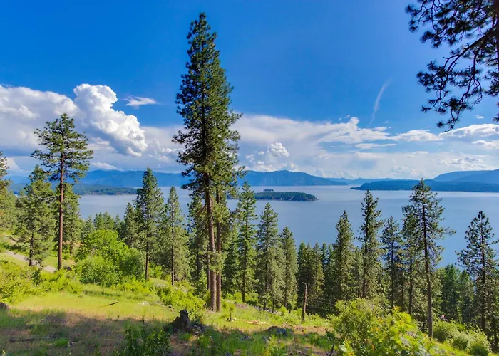 Driftwood 5 Apartment Sandpoint