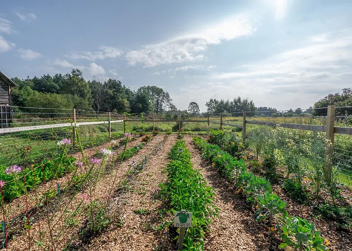 Saratoga Farmstead B&B