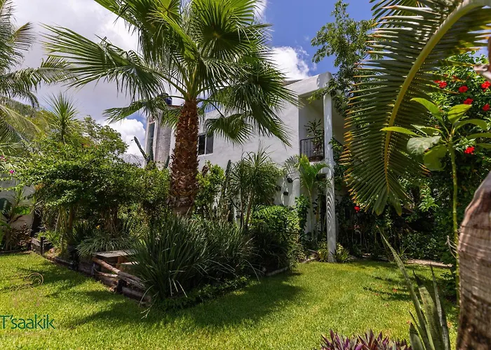Tsaakik Jungle Hotel & Spa