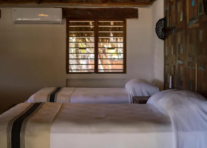 Bt Live Tulum Located At The Party Zone Hotel