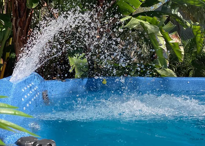3Gulls Inn Ozona-Boutique Hotel-Steps From Restaurants & Brewery-Swimspa Pool-Pet Friendly Palm Harbor