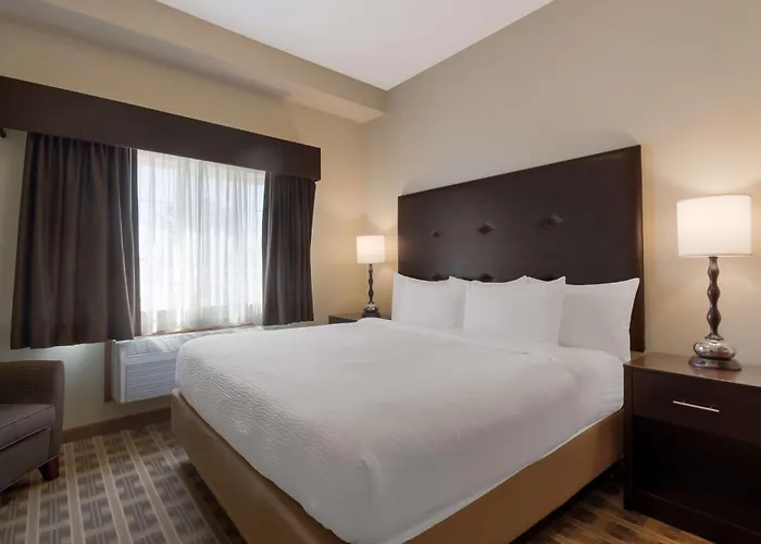Best Western University Inn And Suites Forest Grove