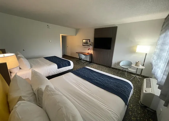 Saint Louis Airport Hotel