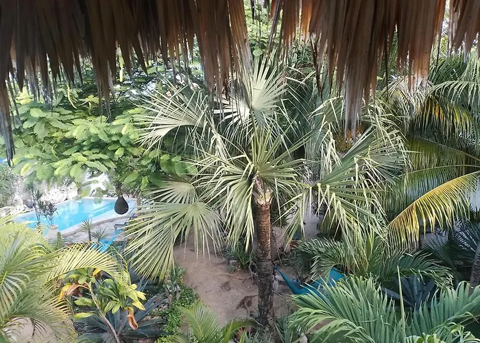 Zamunda Garden View