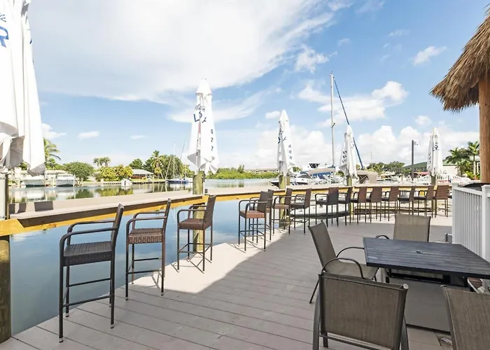 Marina Vibes - Sarasota