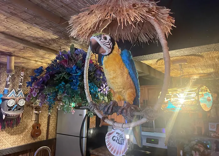 The Kondo Tiki