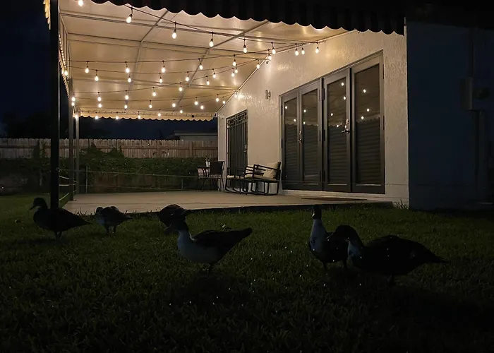 Lyz Miami