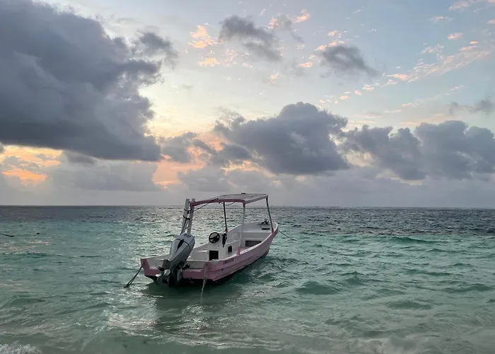 Home'S Jungle Puerto Morelos Cancun 20 Minutes From The Airport