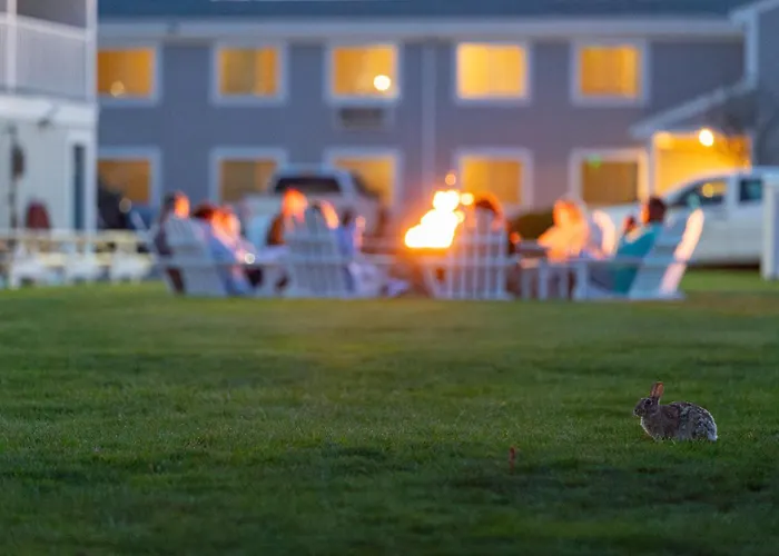 Innseason Resorts Surfside