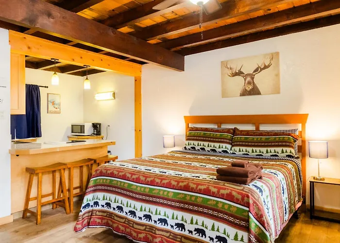 The Washoe Lodge South Lake Tahoe