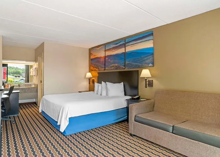 Quality Inn Near Speedway