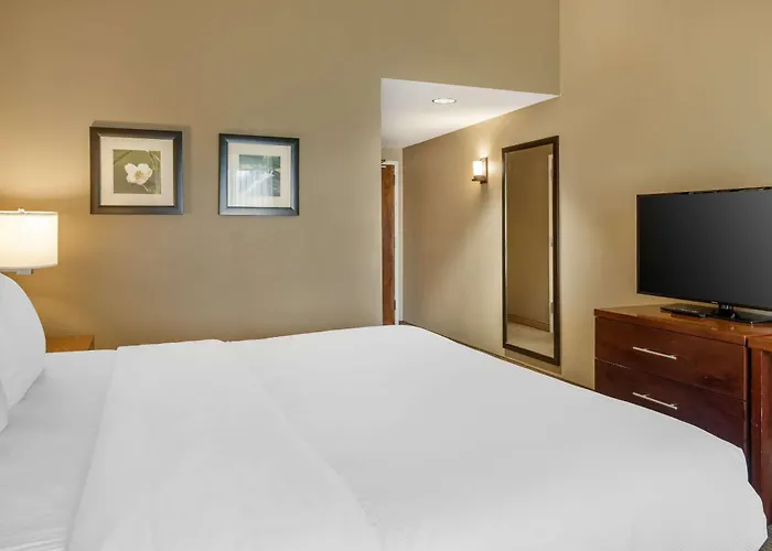 Comfort Inn & Suites At Crossplex Village Birmingham
