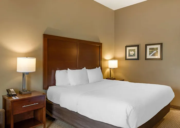 Comfort Inn & Suites At Crossplex Village Birmingham