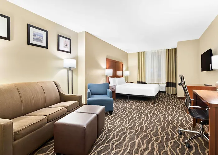 Comfort Suites Tampa Airport North West Chase