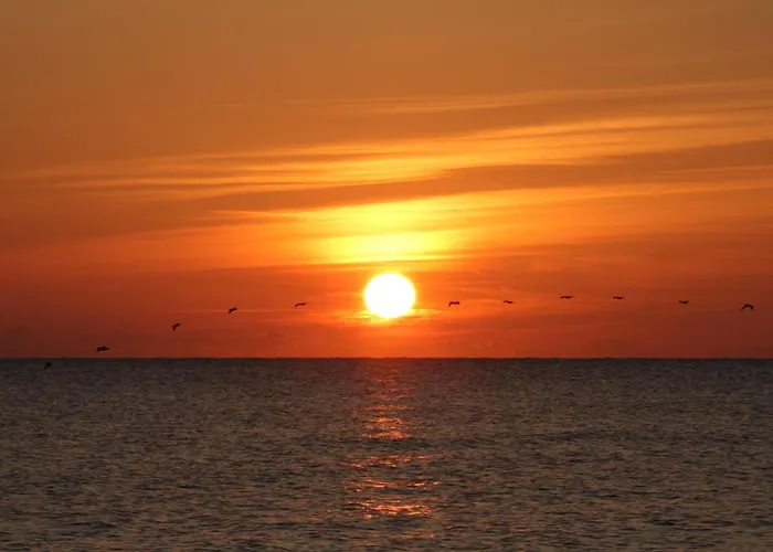 Oceanfront Inn And Suites - Ormond