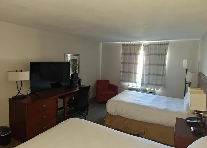 The Hotel Orange