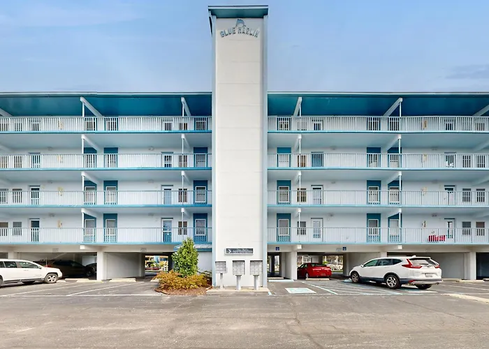 Blue Marlin Unit 302 Apartment Ocean City
