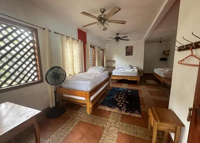 Hotel Don Quichotte Tortuguero