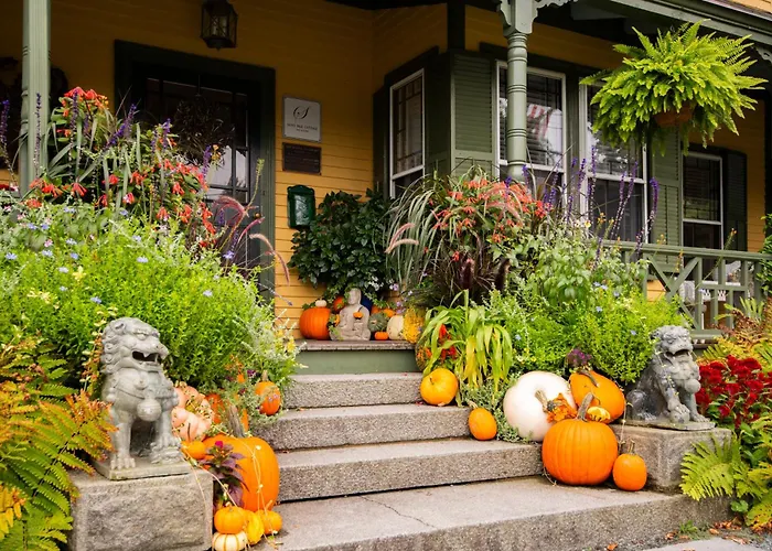 Sand Bar Cottage Inn