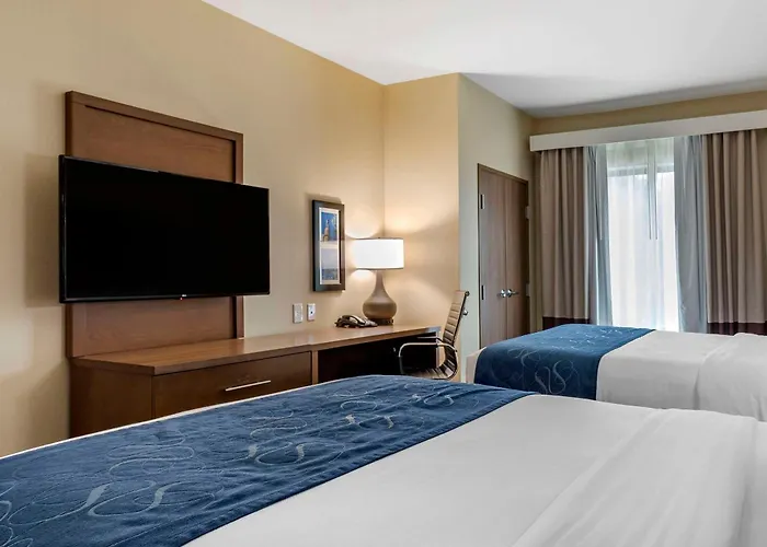 Comfort Inn & Suites Downtown Near University Tuscaloosa