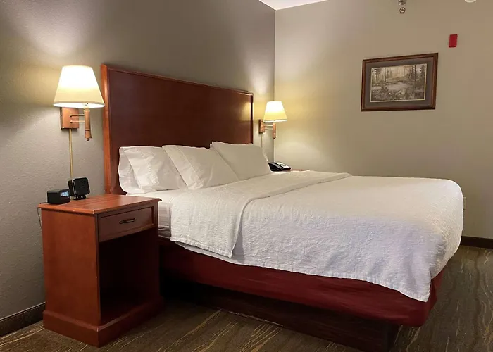 Southshore Hotel On Lake Bemidji, Trademark Coll By Wyndham