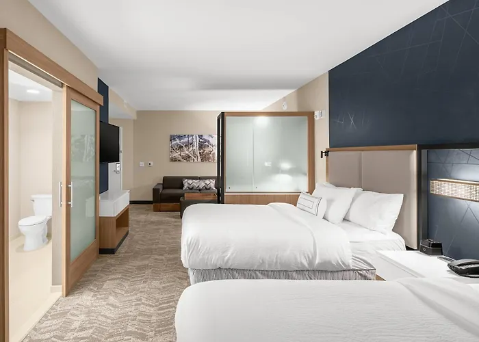 Springhill Suites By Marriott Jackson