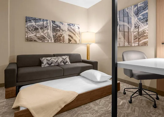 Springhill Suites By Marriott Jackson