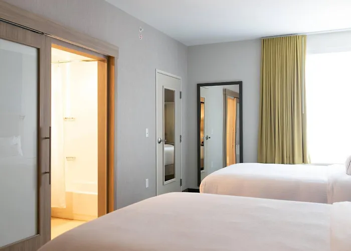 Springhill Suites By Marriott South Bend Notre Dame Area