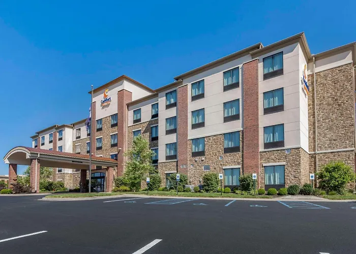 Comfort Suites Bridgeport - Clarksburg